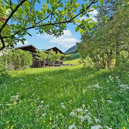 La Maison Du Bassin - Grand St Bernard - * Orsières