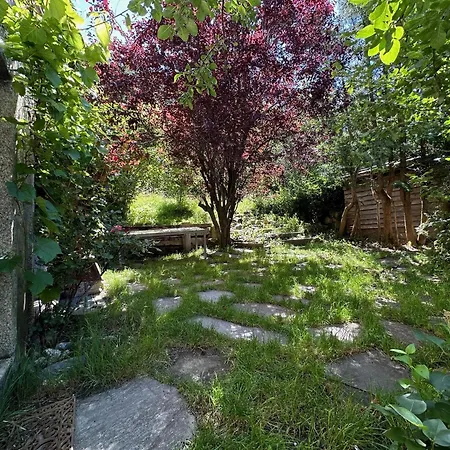 La Maison Du Bassin - Grand St Bernard - * Orsières