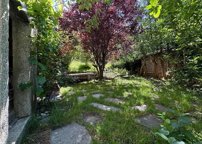 La Maison Du Bassin - Grand St Bernard - * Orsières